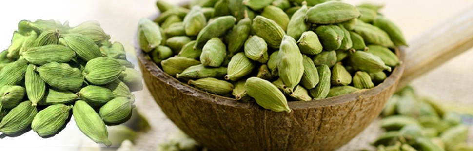 Green Cardamom 
